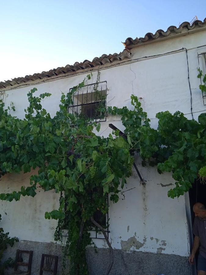 La Casa De Maria Bed & Breakfast Bogarra Bagian luar foto